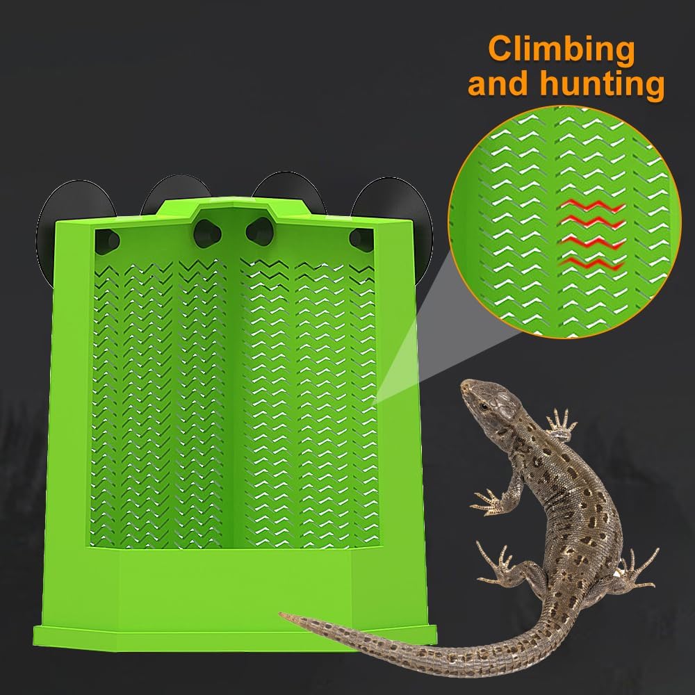 Wall Mounted Reptile Feeder Box With Suction Cups For Pet Feeding
