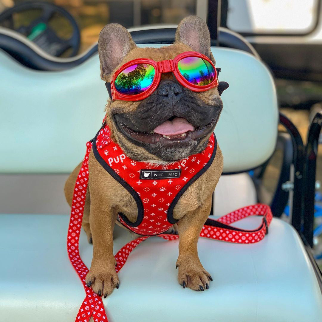 Pet Breathable Mesh Chest Harness Leash Set
