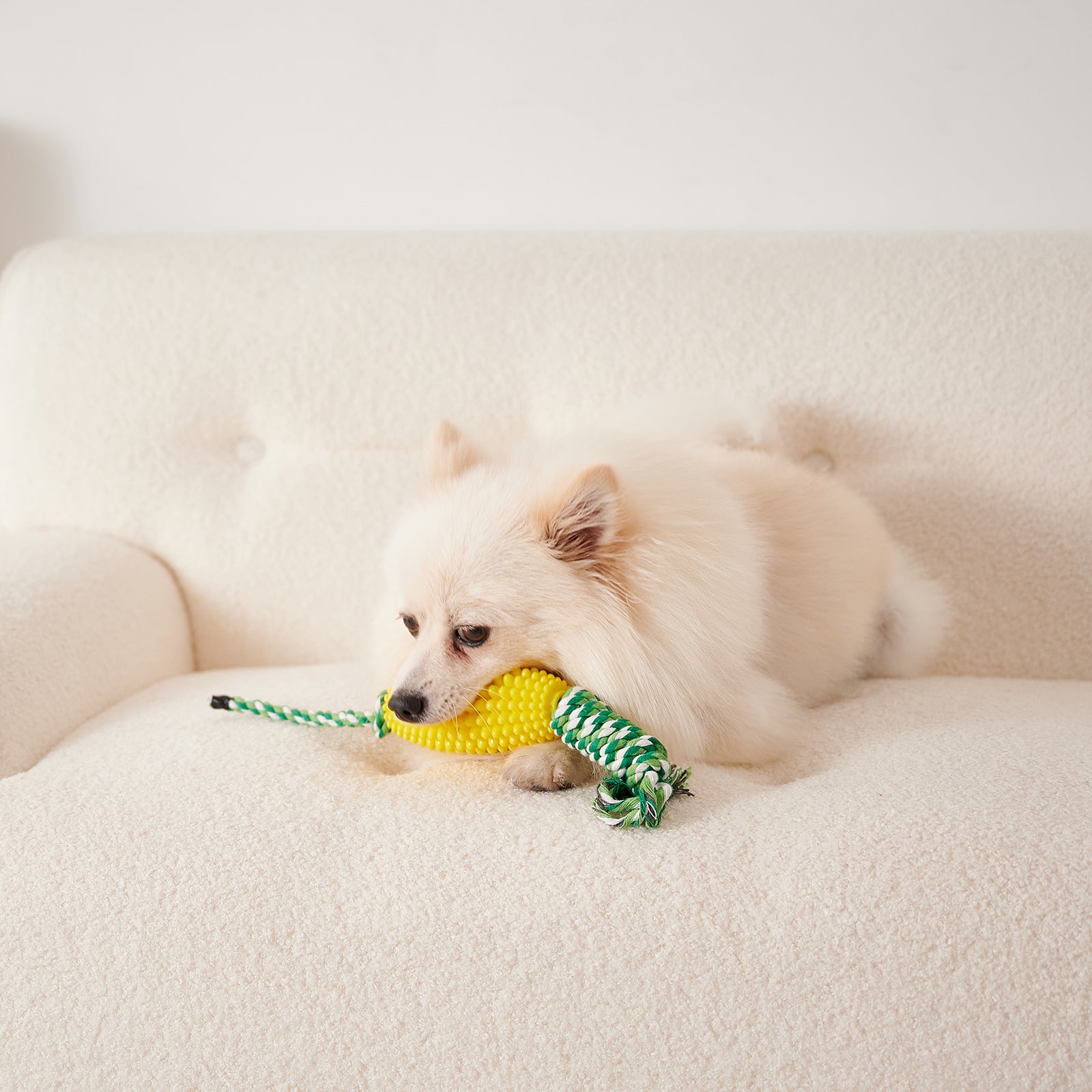 Interactive Pet Toothbrush Chew Toy For Aggressive Chewers