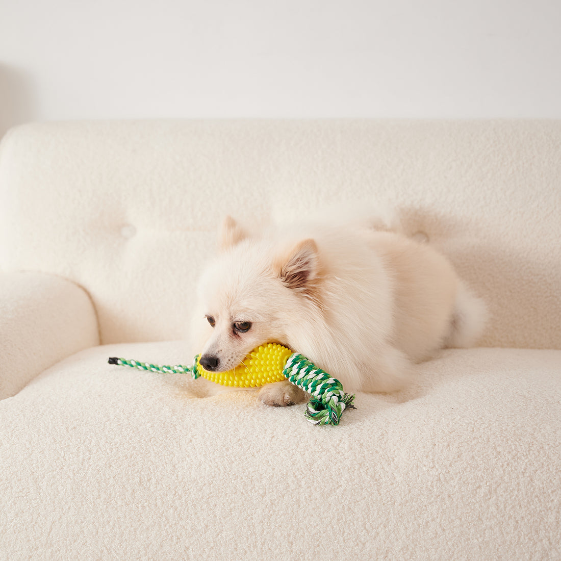 Interactive Pet Toothbrush Chew Toy For Aggressive Chewers