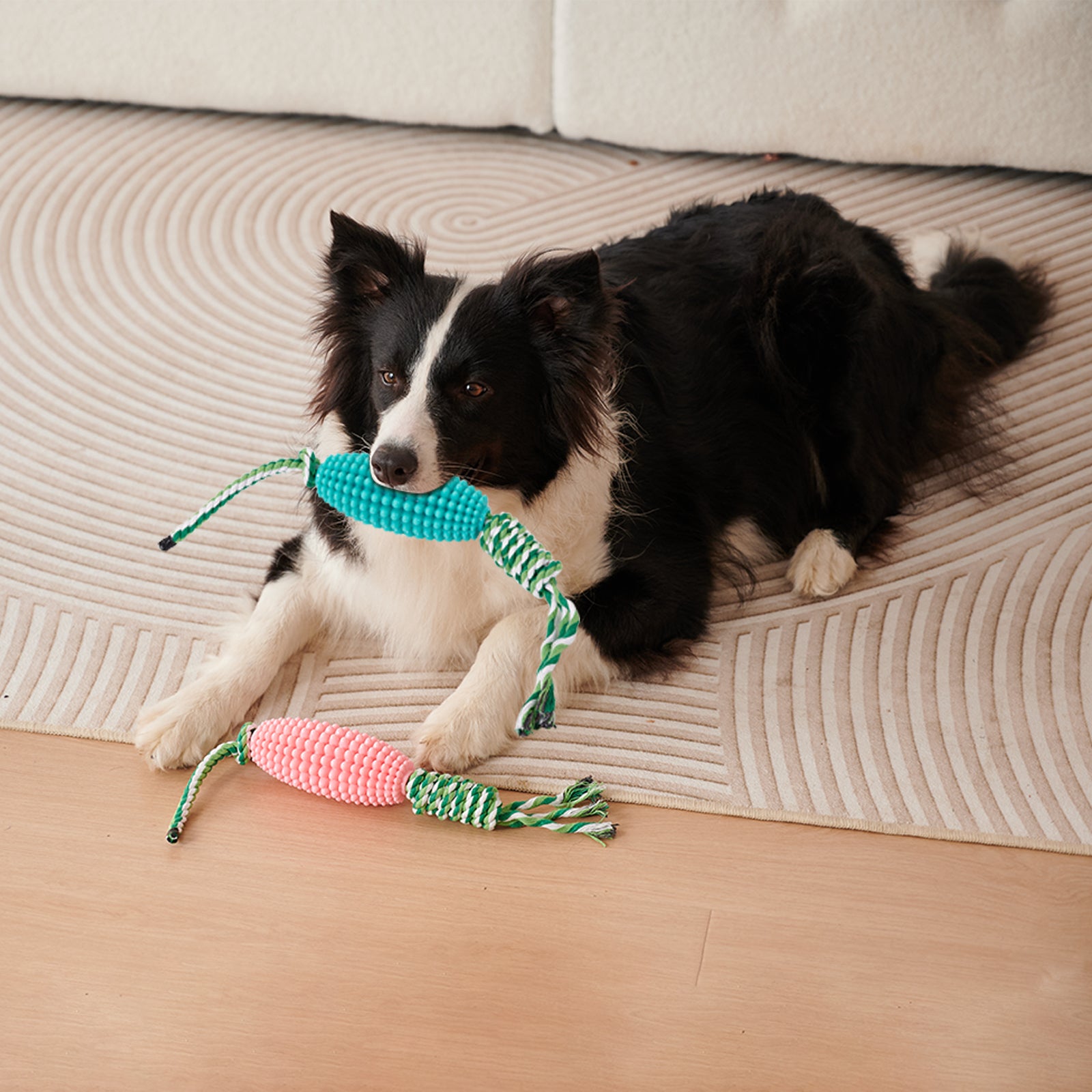 Interactive Pet Toothbrush Chew Toy For Aggressive Chewers