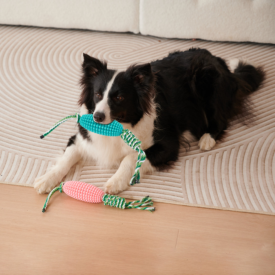 Interactive Pet Toothbrush Chew Toy For Aggressive Chewers