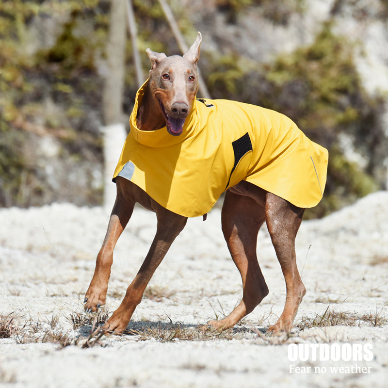 Pet Shell Jacket Waterproof Windproof Raincoat