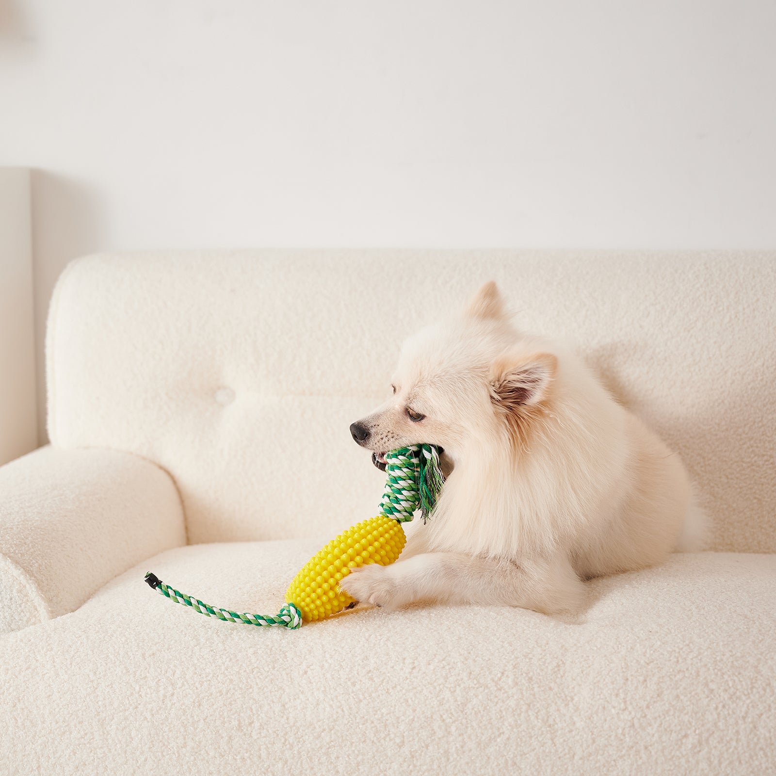 Interactive Pet Toothbrush Chew Toy For Aggressive Chewers