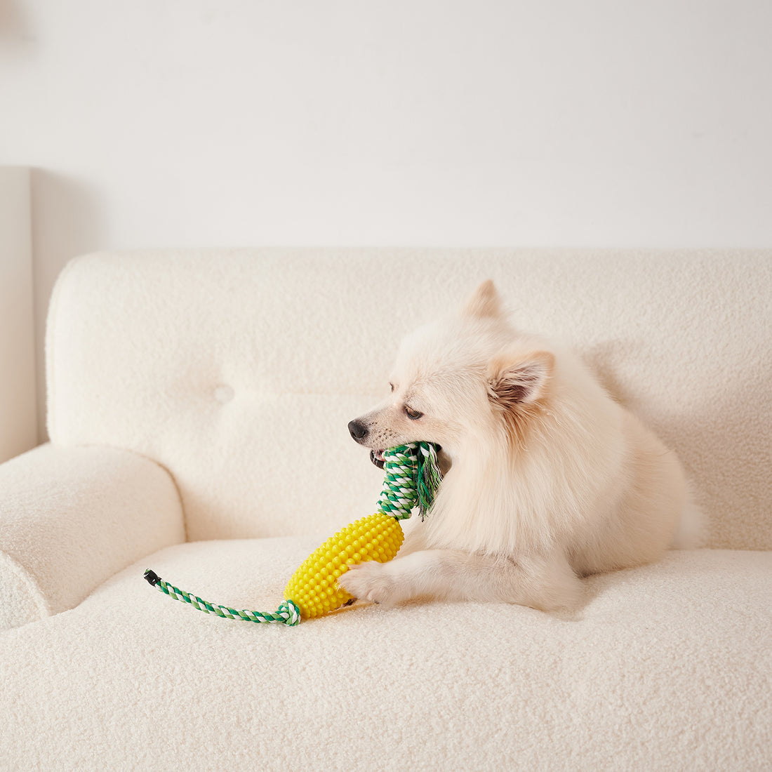 Interactive Pet Toothbrush Chew Toy For Aggressive Chewers