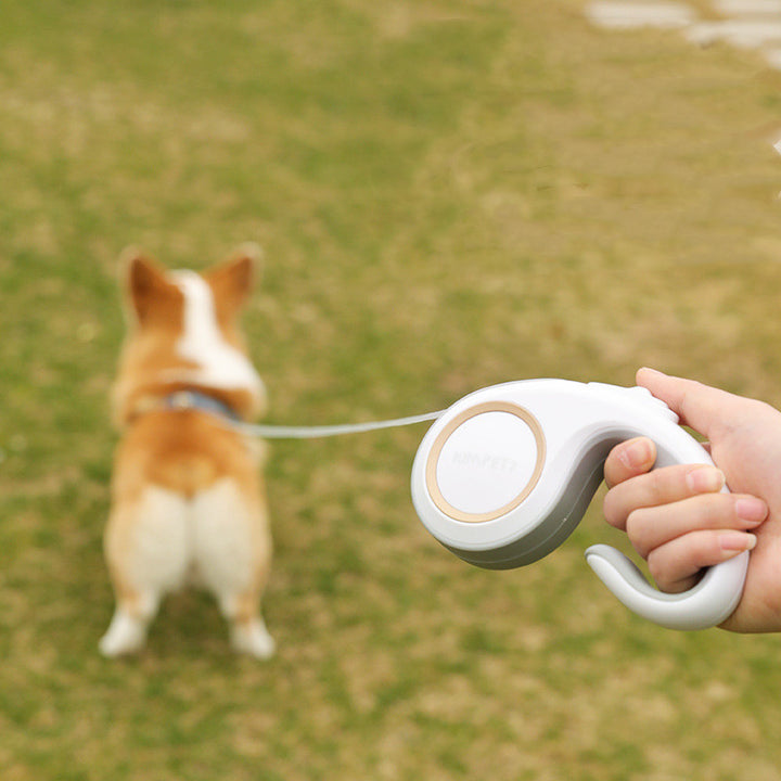 Pet Automatic Retractable Leash For Outdoor Walking