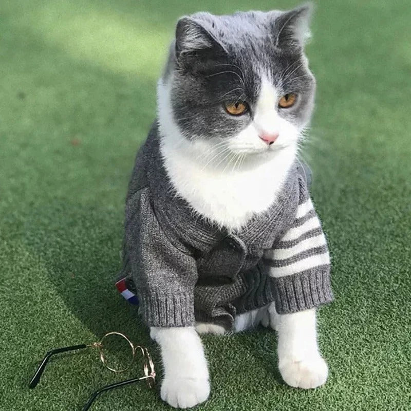 Pet Cardigan Sweater Clothing For Outdoor Wear