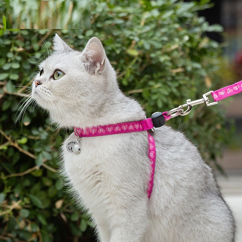 Pet Bell Chest Strap Haulage Rope Vest Leash