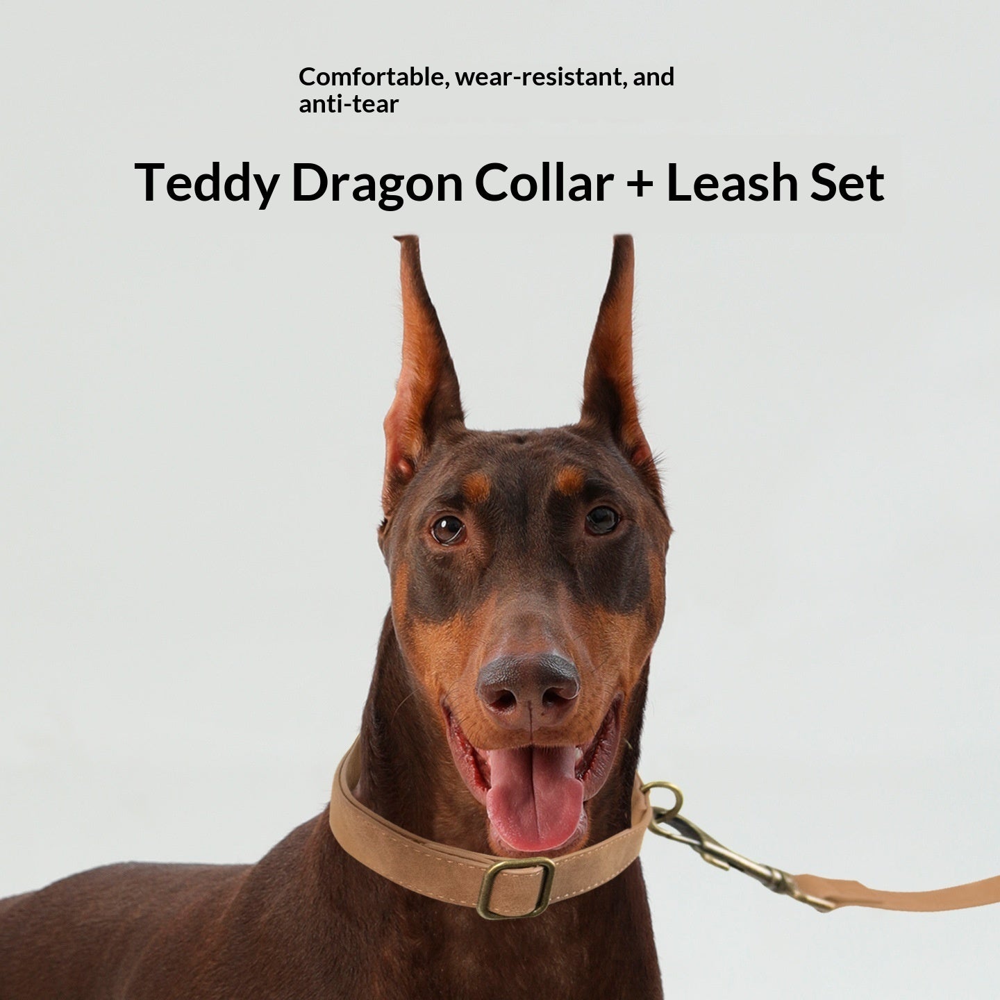 Retro Fashion Pet Leash And Collar Set