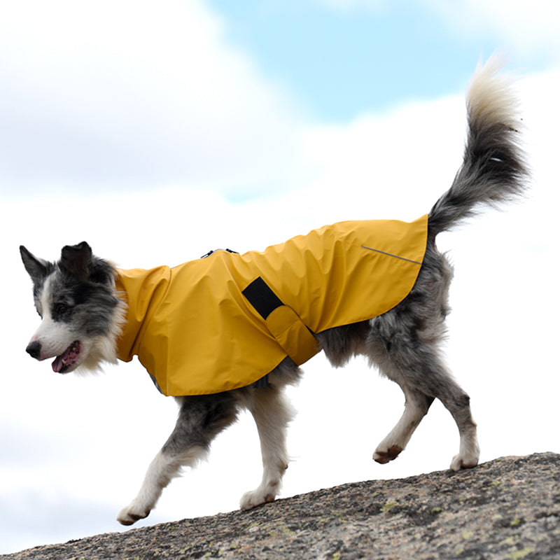 Pet Shell Jacket Waterproof Windproof Raincoat