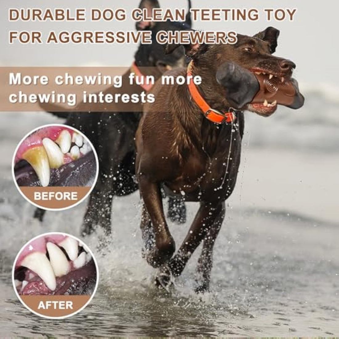 Tough Durable Pet Chew Toys For Aggressive Chewers