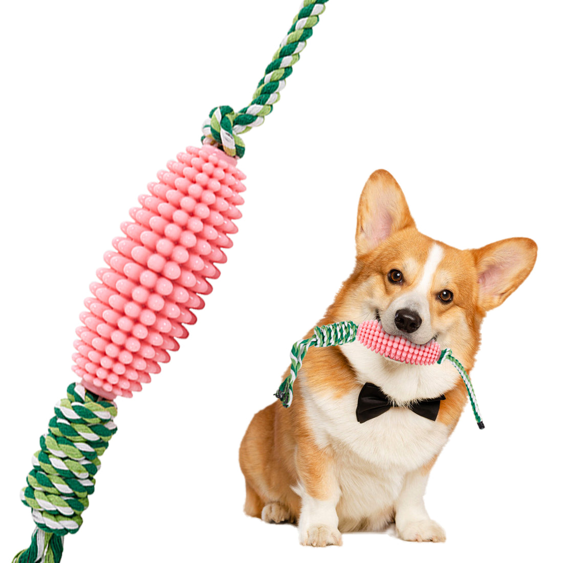 Interactive Pet Toothbrush Chew Toy For Aggressive Chewers