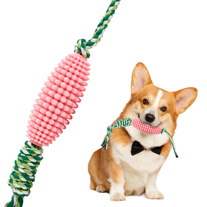 Interactive Pet Toothbrush Chew Toy For Aggressive Chewers